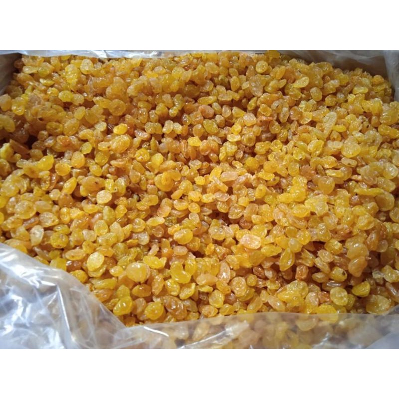 

kismis premium kismis manis shimin 10 kg