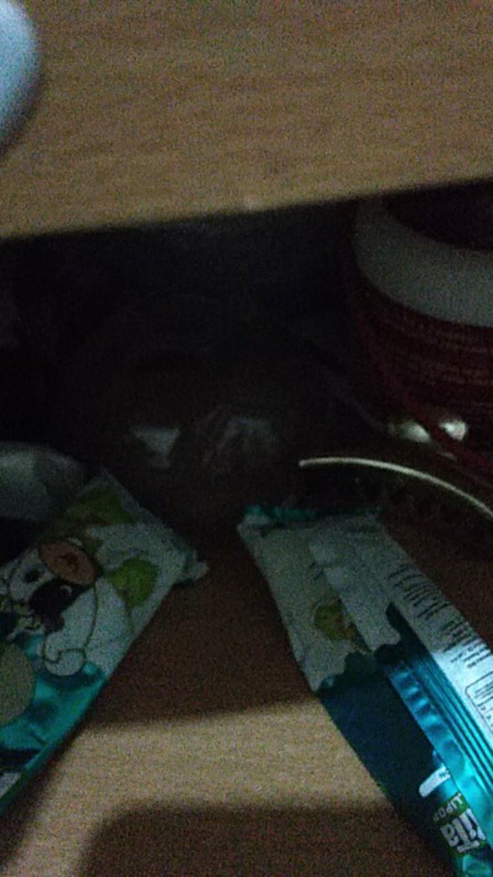 Sembodo Pendek Kemeja Batik Pria Full Furing Bahan Katun Primisima