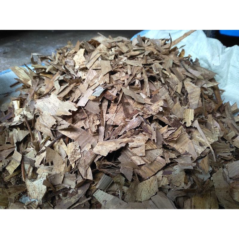 humus daun bambu media daun bambu kering
