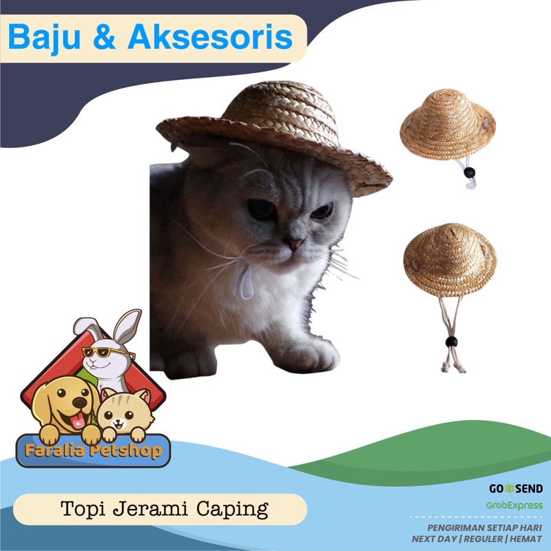 Kostum Topi Jerami Anjing Kucing Cat Dog Caping Costum Straw Hat Pet