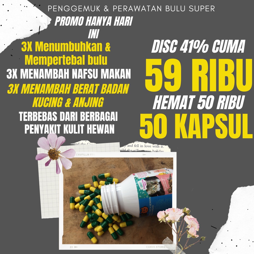 PENGGEMUK KUCING VITAMIN GEMUK KUCING DAN BULU PENAMBAH NAFSU MAKAN KUCING OBAT PENGGEMUK BADAN KUCI