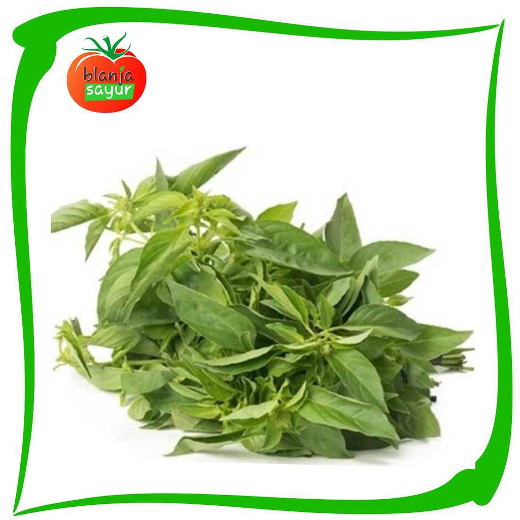 

Daun kemangi segar per ikat