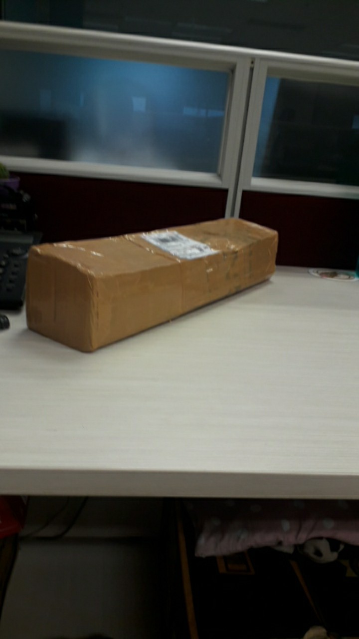 Tanama Hias Keladi Amazon Keladi Tengkorak