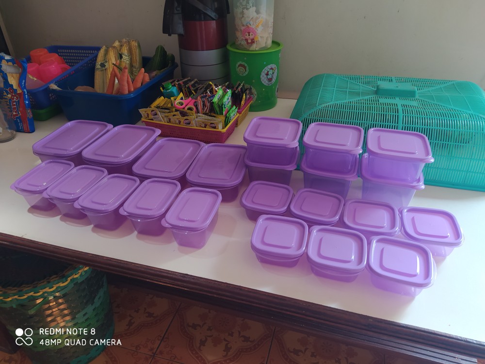 Technoplast Kotak Penyimpanan Serbaguna 1 Set  Azumi Set Of 18 Murah