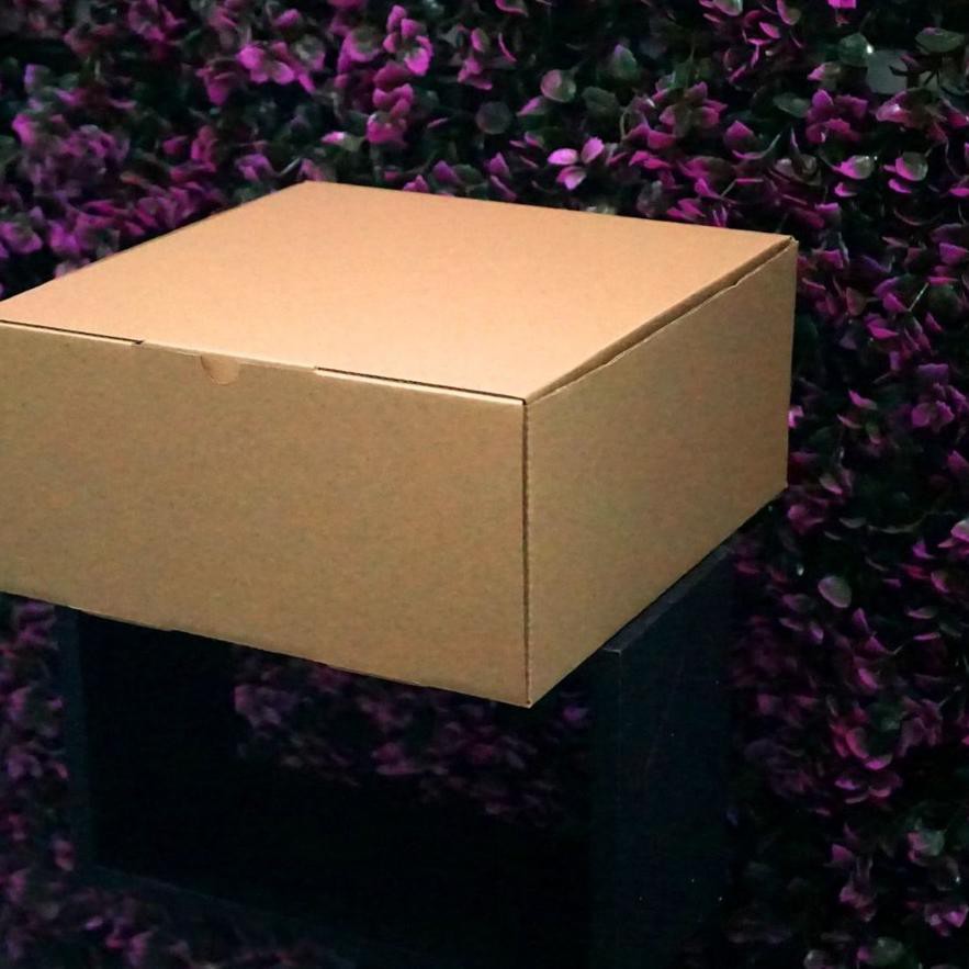 

TERBARU Kotak Packaging Polos Tinggi 25 x 25 x 12 cm - Pizza Box - Bentuk Kotak 66R,,