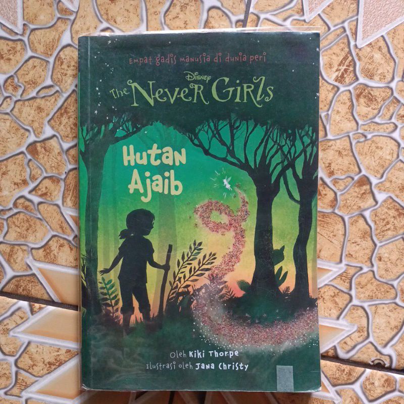 Novel Disney The Never Girls (preloved)