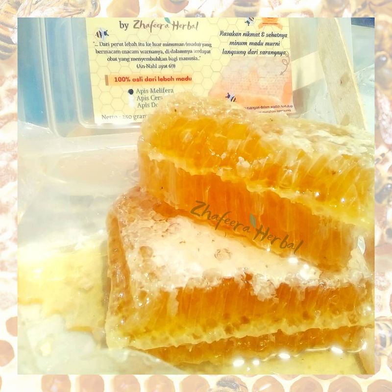 

Madu Sarang Melifera Asli Kemasan 250 gram