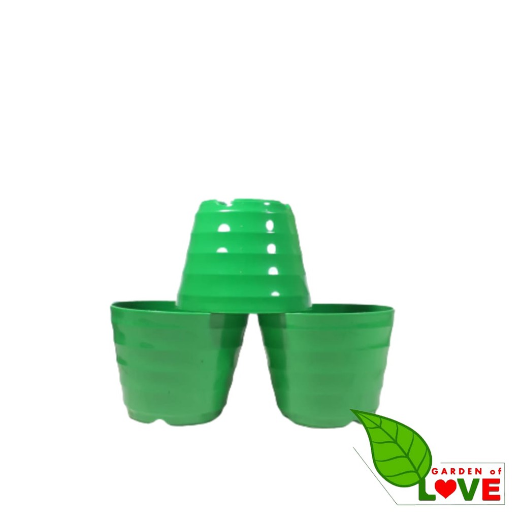 Pot King Mado 12 Putih Warna Warni By Garden Of Love Pot Plastik Kaktus Mini Murah Lucu Mirip Pot Tawon 12