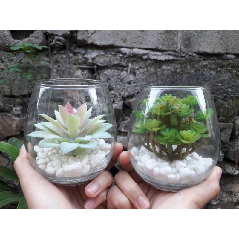 Terarium Kaktus Artificial / Terarium sukulen / Tanaman succhlents