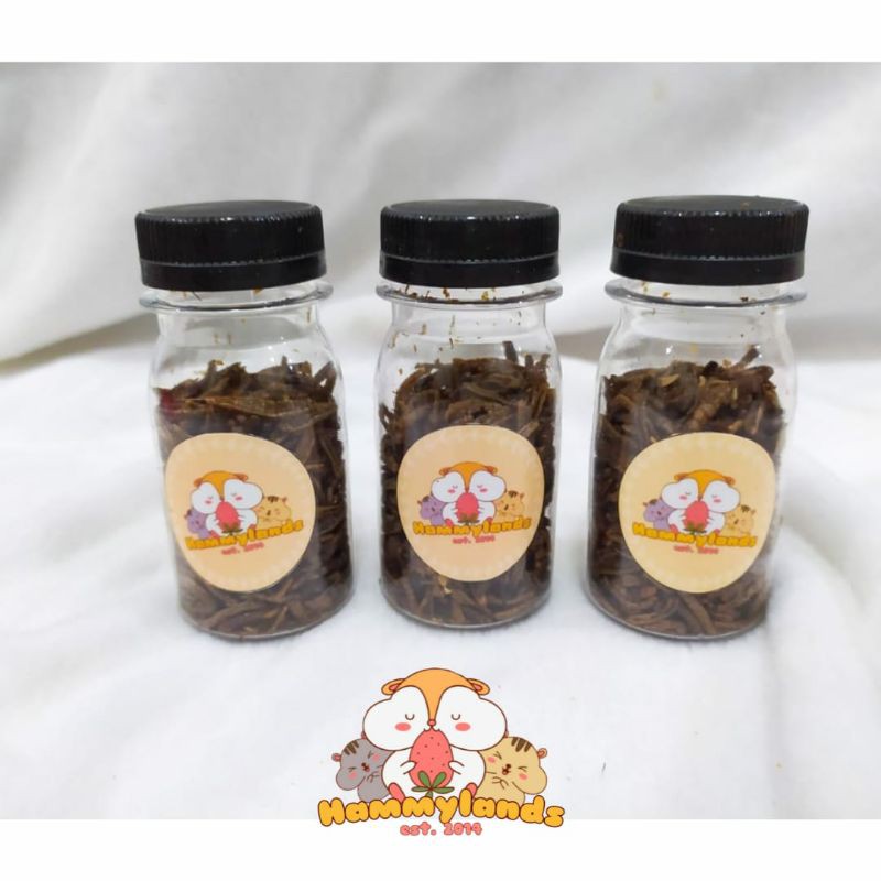 HAMMYLANDS - ULAT HONGKONG KERING / MEALWORM