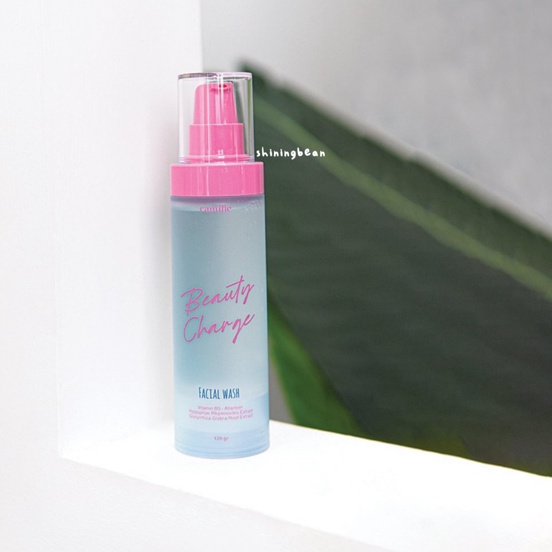 Camille Beauty Charge Facial Wash