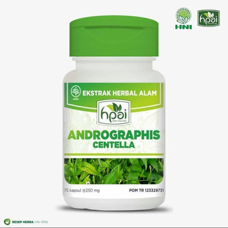 ANDROGRAPHIS CENTELLA produk herbal hni hpai