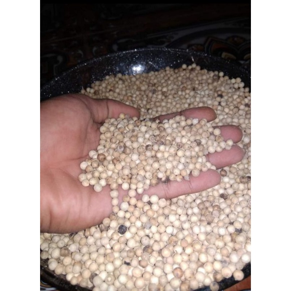 

MERICA/MERICA SUPER100g/LADA/SAHANG/BIJI MERICA MURAHHH