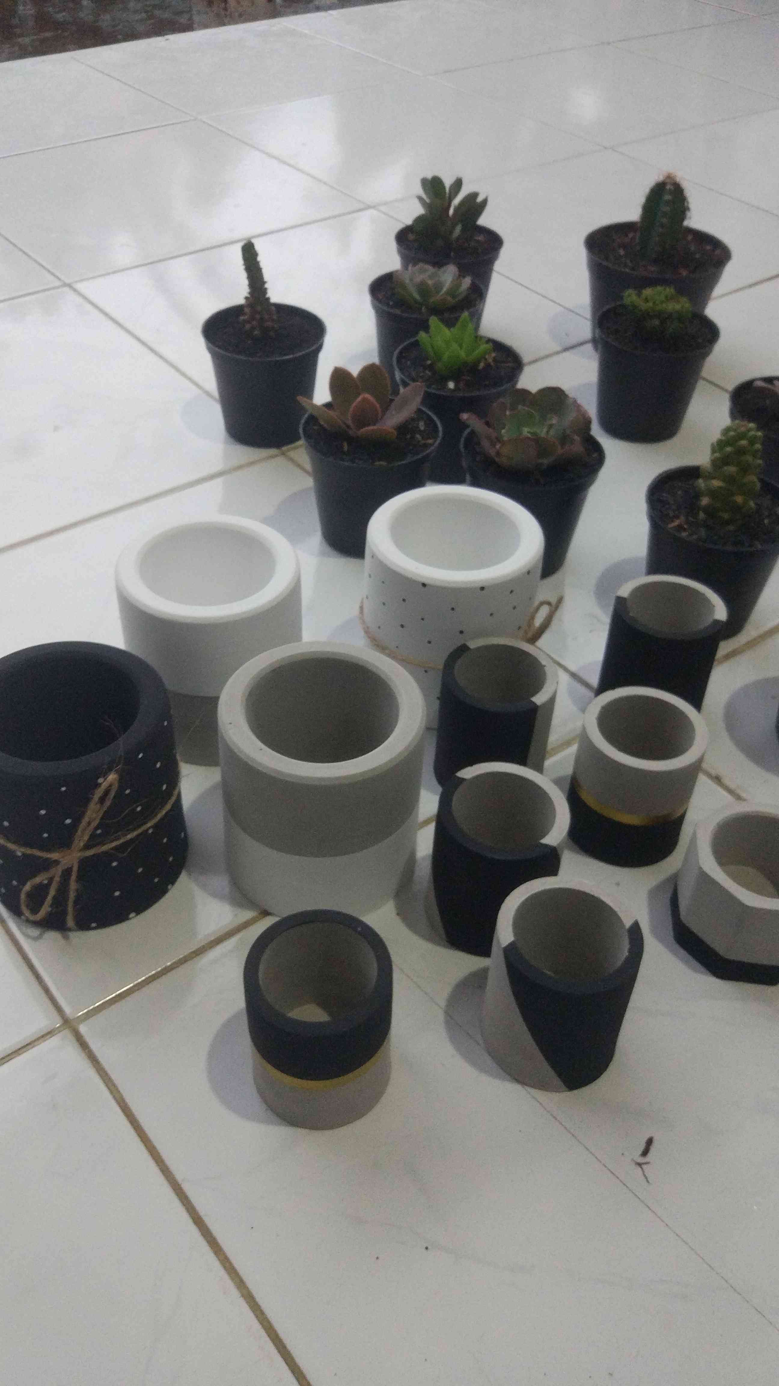 Pot Sukulen/kaktus Black White Dotted D:8cm