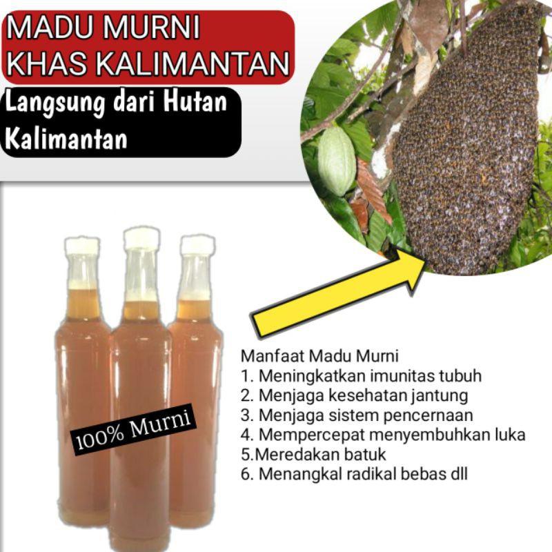 

MADU MURNI KHAS KALIMANTAN