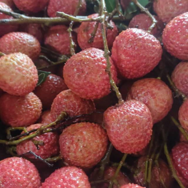 

Buah Leci per 1 kg