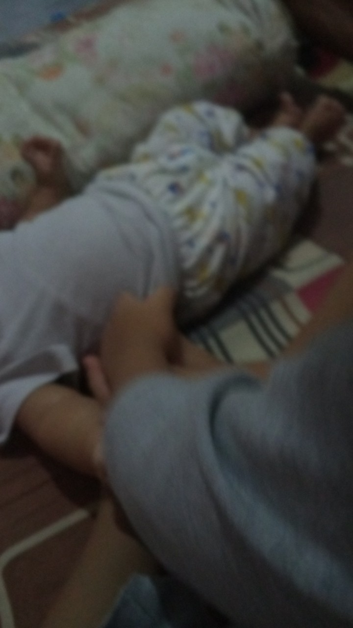 Wood Slice Tree Slice 19-20 Cm Dekorasi Pernikahan Rustic Talenan Tray