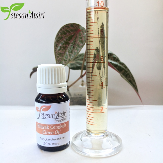 10ml pure essential oil clove - cengkeh clove essential esensial essensial oil aromatherapy aromaterapi diffuser pewangi pengharum ruangan humidifier oil burner minyak cengkeh asli murni obat sakit gigi minyak cengkeh murni penyulingan tanpa campuran