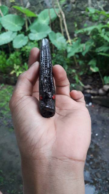 Pipa rokok ukir naga kayu galih sonokeling unik