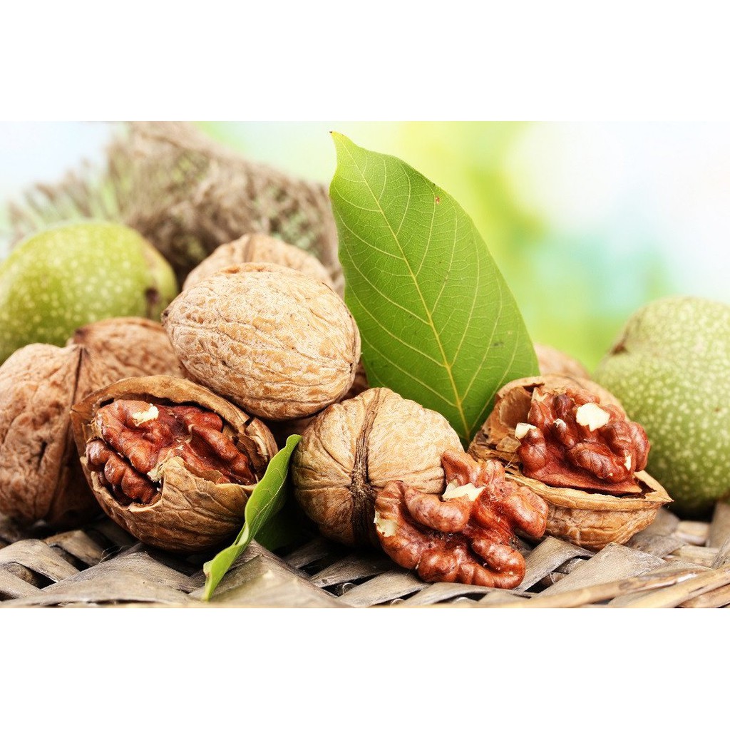 

Roasted Walnut Walnut Panggang 500 gr