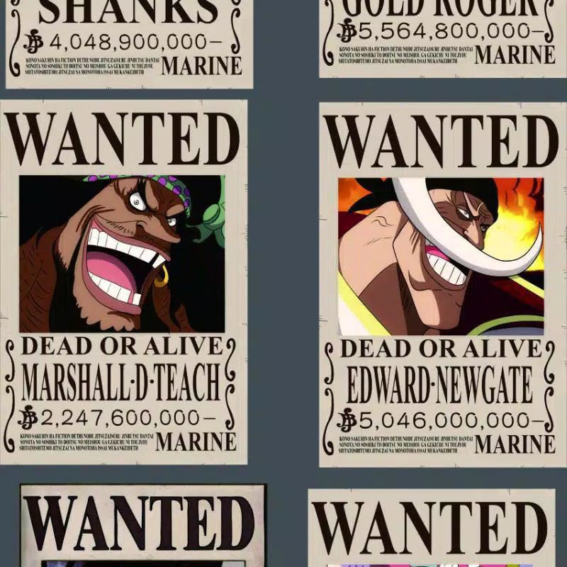 poster one piece wanted