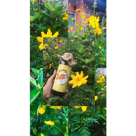 

Madu Alami Nektar akasia