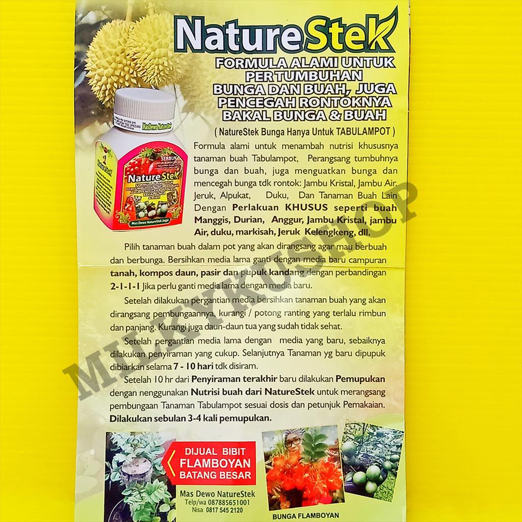 NATURE STEK BUNGA BUAH 100 GRAM KEMASAN PABRIK