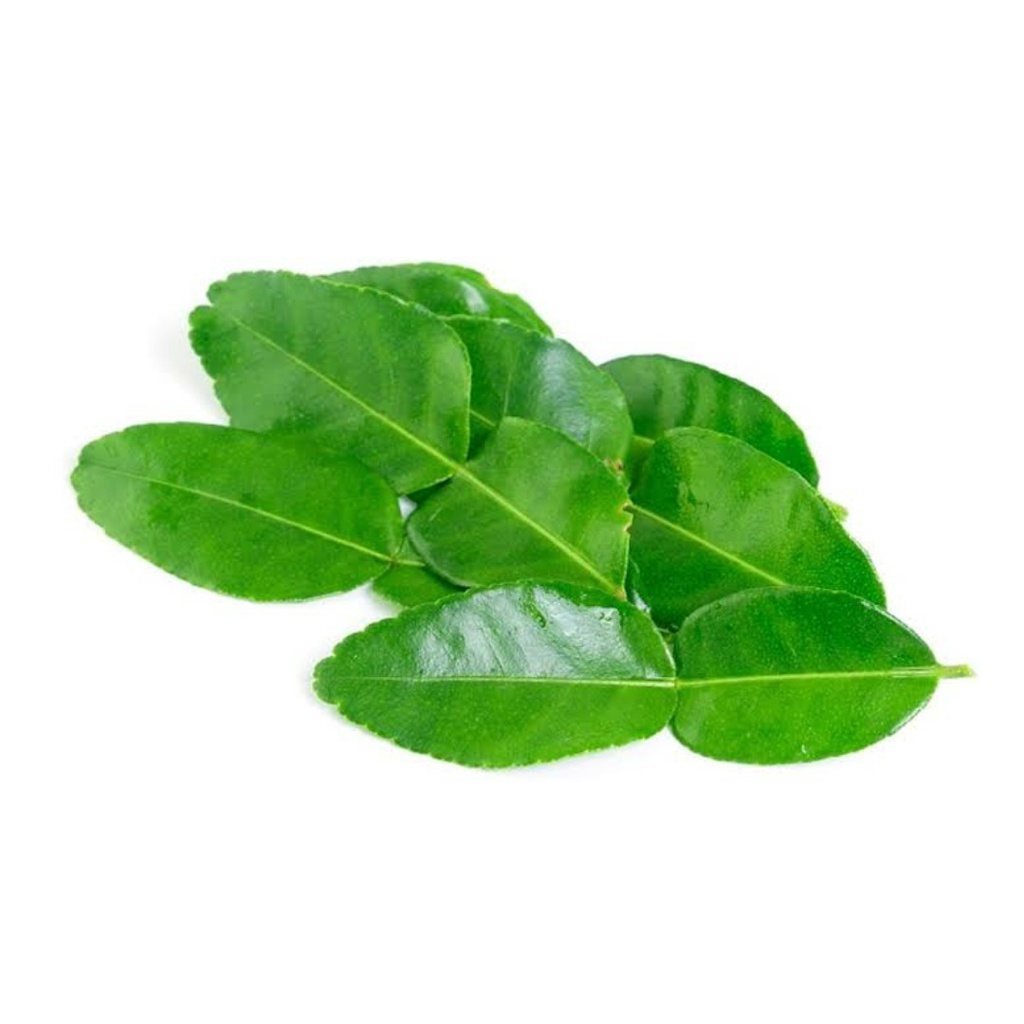 

Daun Jeruk Purut (1 pack)