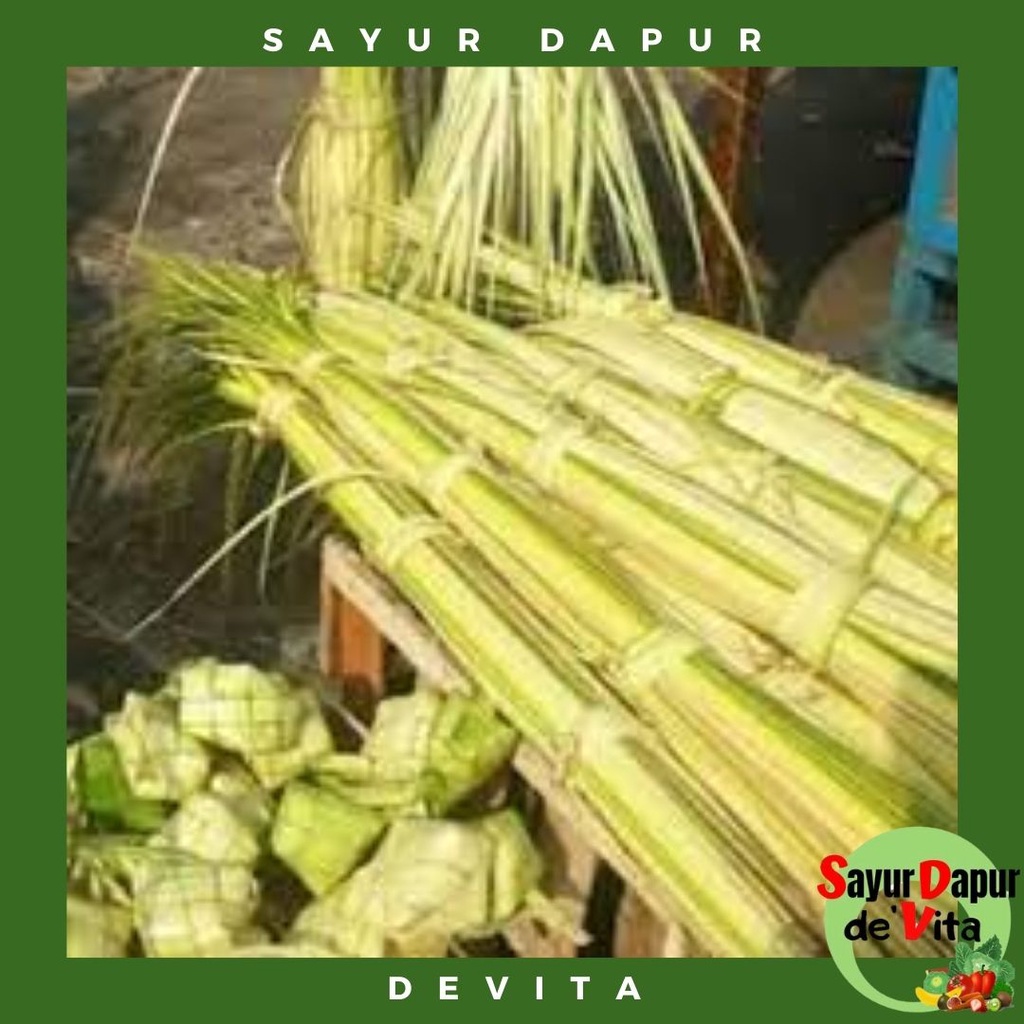 Janur Bahan Membuat ketupat, 10 janur