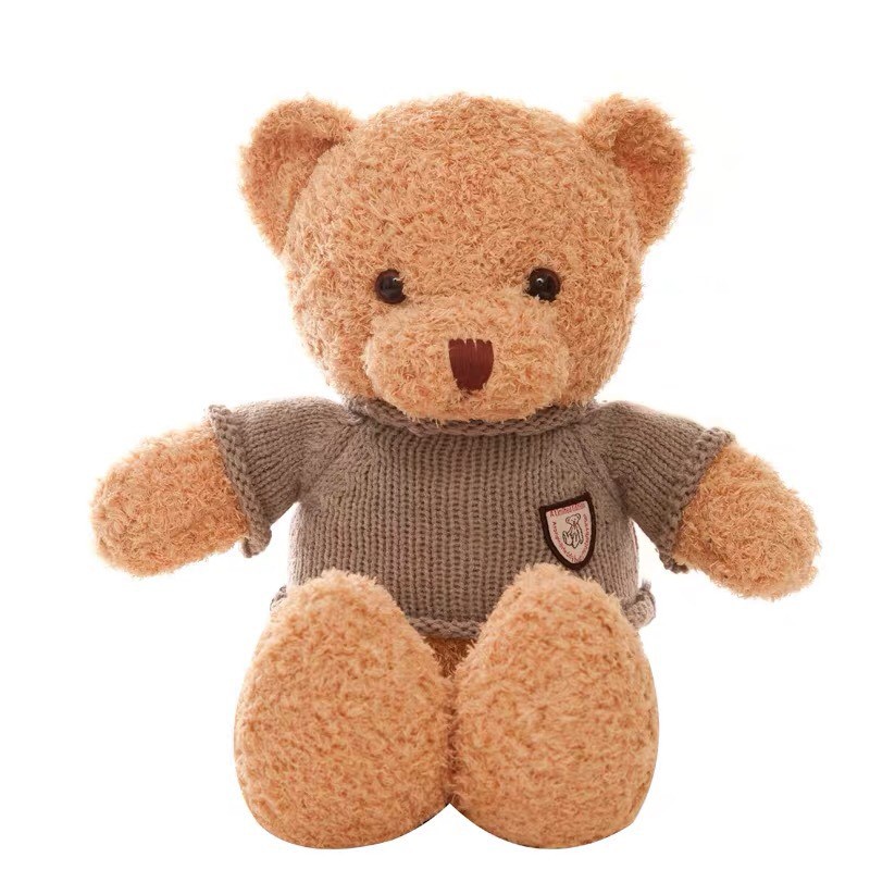 BONEKA BROWN TEDDY BEAR BERUANG FLUFFY PREMIUM