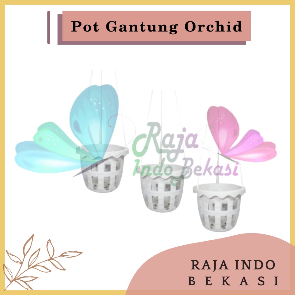 Pot Gantung Anggrek Orchid 10 cm Putih Pot Anggrek Murah Bkn Pot Anggrek Gantung NKT Putih 14