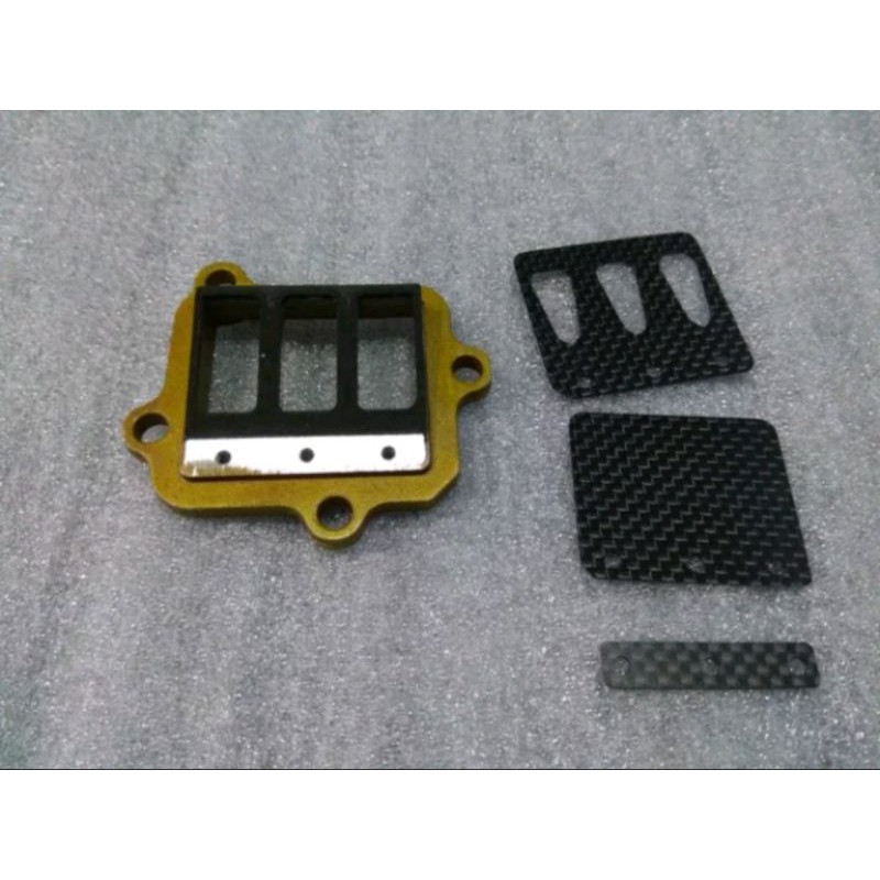 Membran Carbon F1ZR Pro Racing Model Boyesen Dual Stage FIZR Force 1 F1Z R FIZ