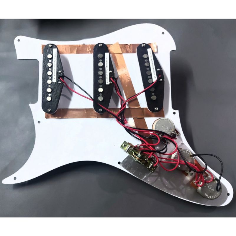 prewired gitar Prs silver sky SE signature john mayer original plus bonus screw/scrup pickguard