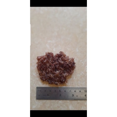 

Rangginang goreng mentah pack (500gr)