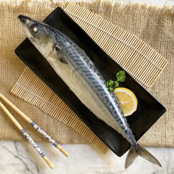 

Premium Japanese Saba Fish