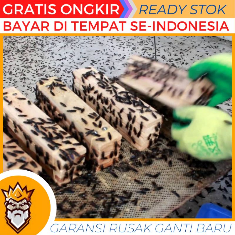 KAYU TEMPAT TELUR BSF