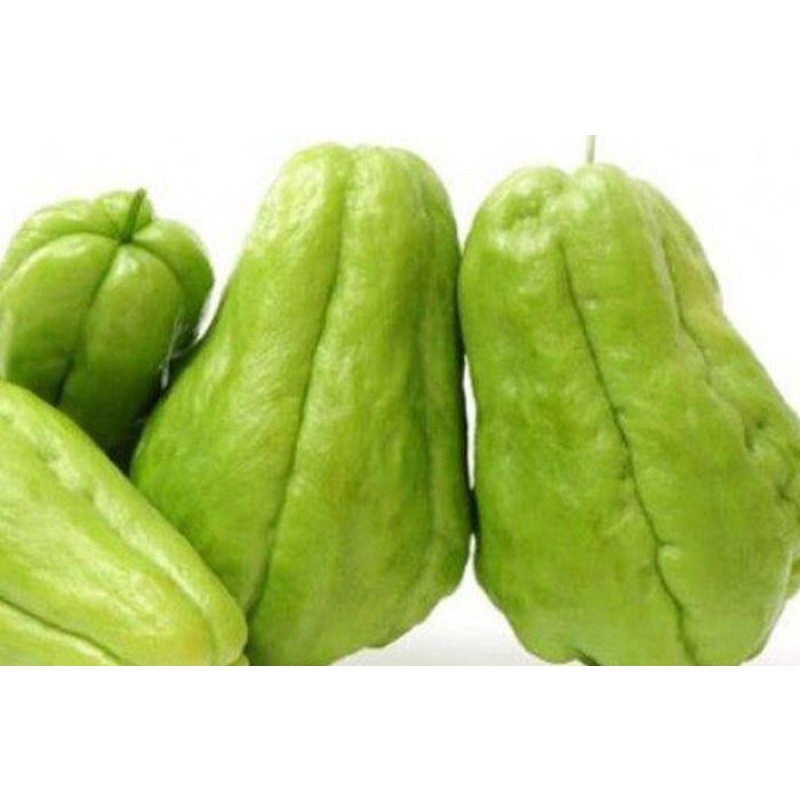 

labu siam besar perbiji