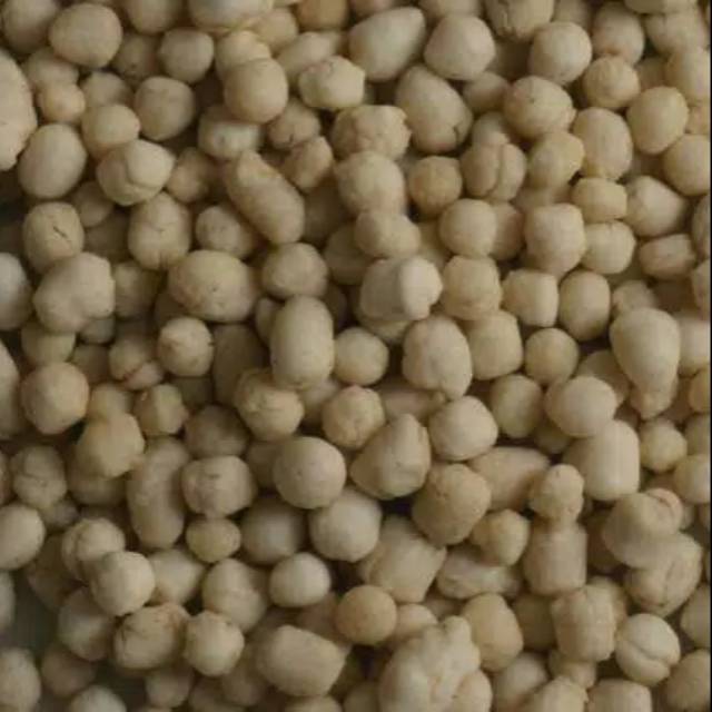 

Cikur kiloan