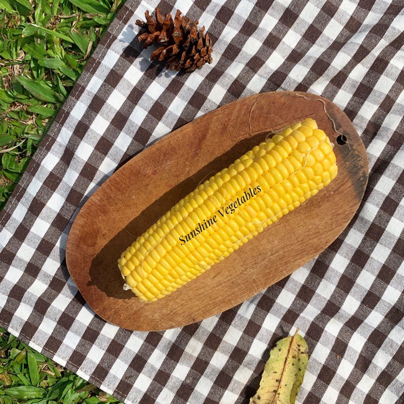

JAGUNG MANIS / SWEET CORN by Sunshine Vegetables