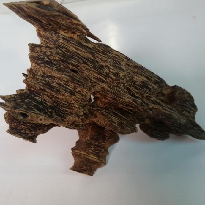 #####] kayu gaharu super