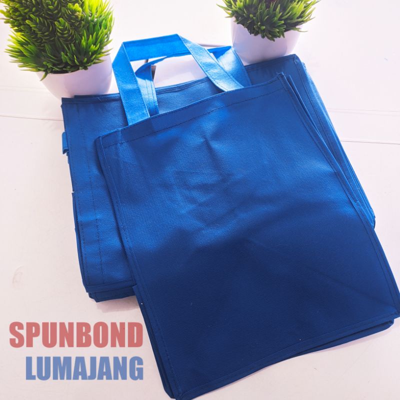 Tas Kotak Nasi Polos