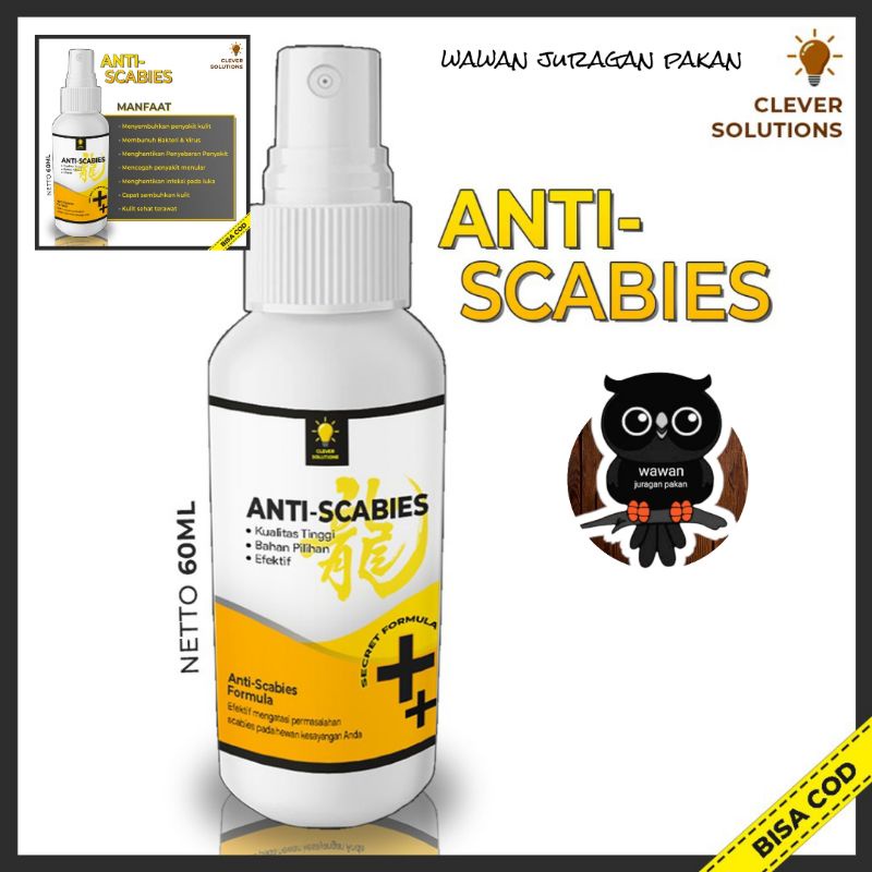 obat gatal kucing, obat scabies kucing, kelinci