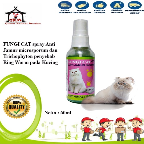 Obat Jamur Kucing FUNGI CAT 60ml