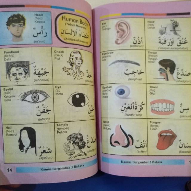 Kamus 3 Bahasa Arab-Inggris-Indonesia (LM)