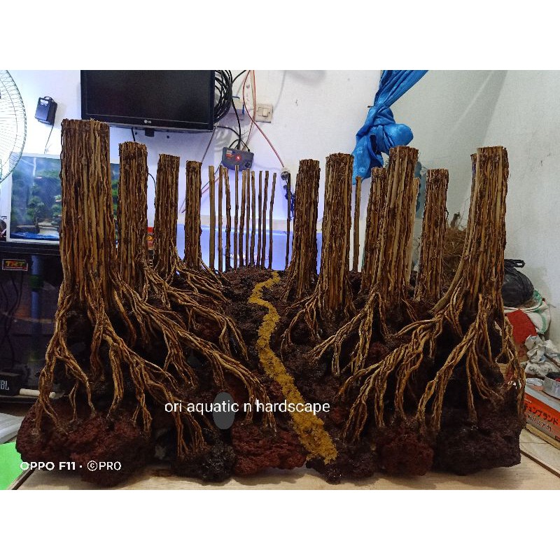 

hardscape