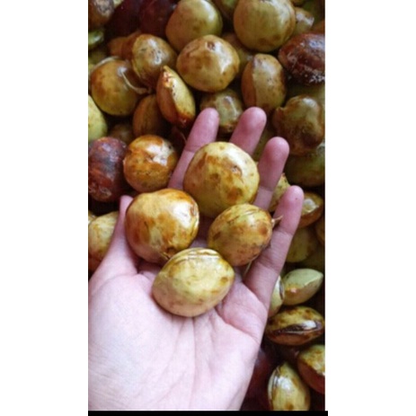 

Jengkol Tua, Jengkol Sayur