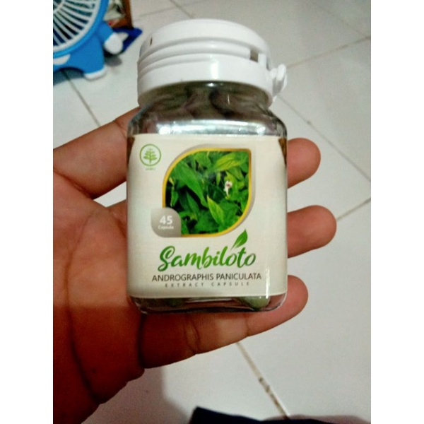 

sambiloto washfah kapsul