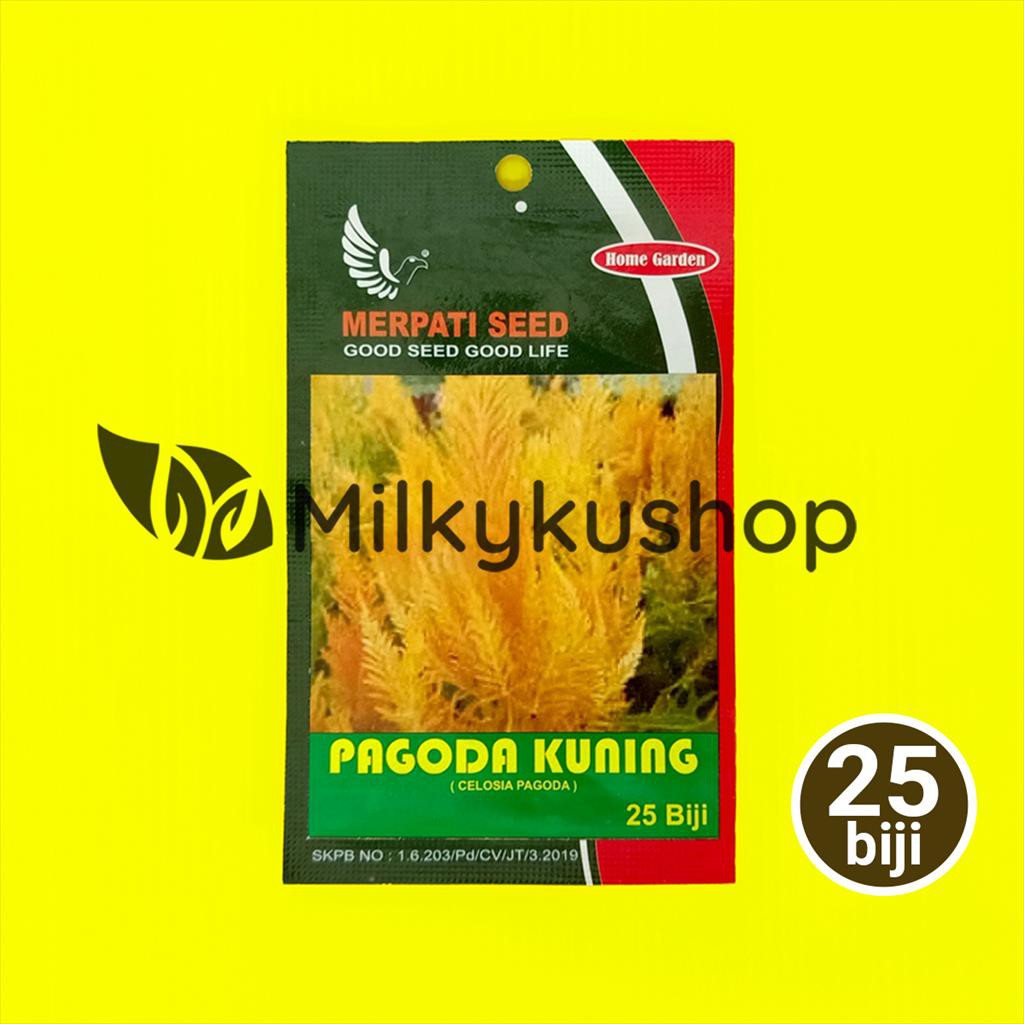 BENIH MERPATI SEED PAGODA KUNING 25 BIJI CELOSIA PAGODA SACHET KP