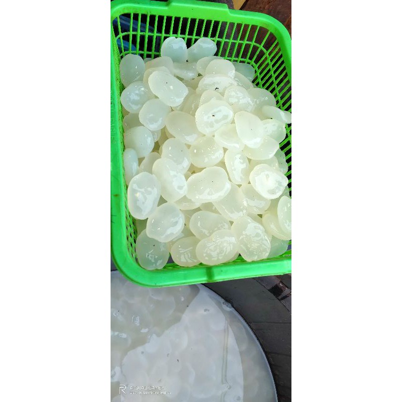 

kolang Kaling