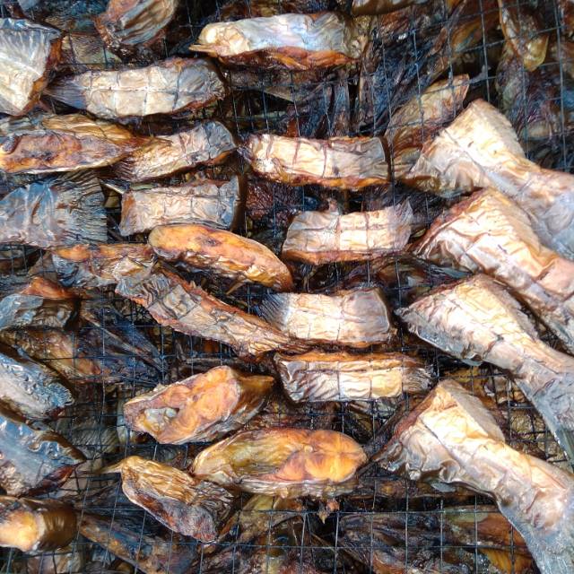 

Ikan fatin salai